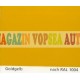 Vopsea auto / industriala RAL 1004 Goldgelb