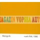 Vopsea auto / industriala RAL 1006 Maisgelb