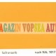 Vopsea auto / industriala RAL 1017 Safrangelb