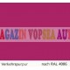 Vopsea auto / industriala RAL 4006 Verkehrspurpur