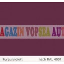 Vopsea auto / industriala RAL 4007 Purpurviolett
