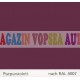 Vopsea auto / industriala RAL 4007 Purpurviolett