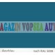Vopsea auto / industriala RAL 5009 Azurblau