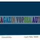 Vopsea auto / industriala RAL 5020 Ozeanblau