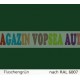 Vopsea auto / industriala RAL 6006 Grauoliv