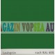 Vopsea auto / industriala RAL 6013 Schilfgrun