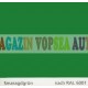 Vopsea auto / industriala RAL 6017 Maisgrun