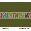 Vopsea auto / industriala RAL 6022 Braunoliv