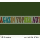 Vopsea auto / industriala RAL 6028 Kieferngrun