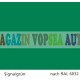 Vopsea auto / industriala RAL 6032 Signalgrun