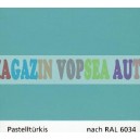 Vopsea auto / industriala RAL 6033 Mintturkis