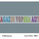 Vopsea auto / industriala RAL 7001 Silbergrau