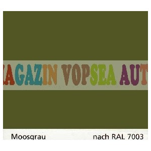 Vopsea auto / industriala RAL 7003 Moosgrau