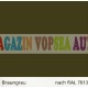 Vopsea auto / industriala RAL 7013 Braungrau