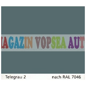 Vopsea auto / industriala RAL 7046 Telegrau 2