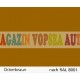 Vopsea auto / industriala RAL 8001 Ockerbraun