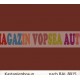 Vopsea auto / industriala RAL 8015 Kastanienbraun