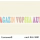 Vopsea auto / industriala RAL 9001 Cremeweib