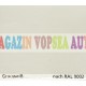 Vopsea auto / industriala RAL 9002 Grauweib