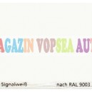 Vopsea auto / industriala RAL 9003 Signalweib