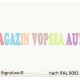 Vopsea auto / industriala RAL 9003 Signalweib