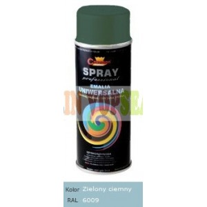 Spray vopsea auto RAL 6009