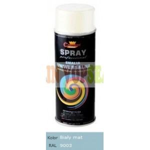Spray vopsea auto RAL 9003 MAT