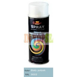 Spray vopsea auto RAL 9003 LUCIOS