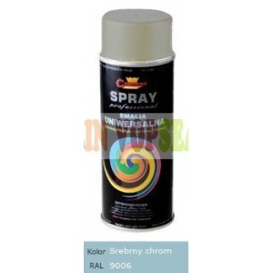Spray vopsea auto RAL 9006