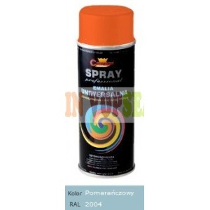Spray vopsea auto RAL 2004