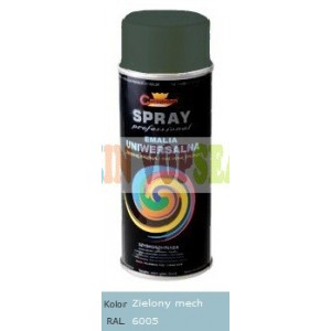 Spray vopsea auto RAL 6005