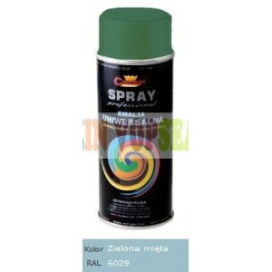Spray vopsea auto RAL 6029
