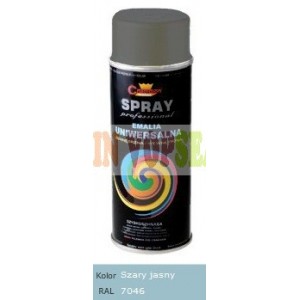 Spray vopsea auto RAL 7046