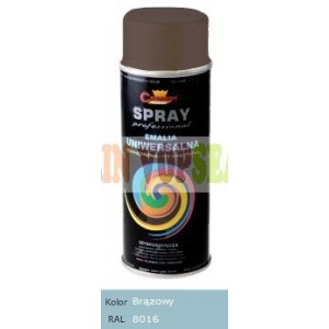 Spray vopsea auto RAL 8016