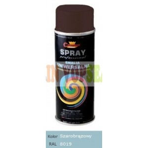 Spray vopsea auto RAL 8019