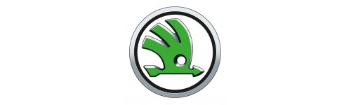 Skoda 19