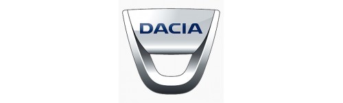 Spray vopsea auto Dacia