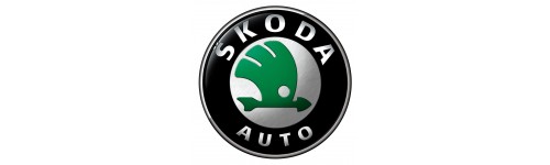 Spray vopsea auto Skoda